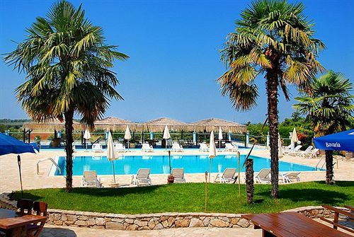 Gloria 3* Kukci