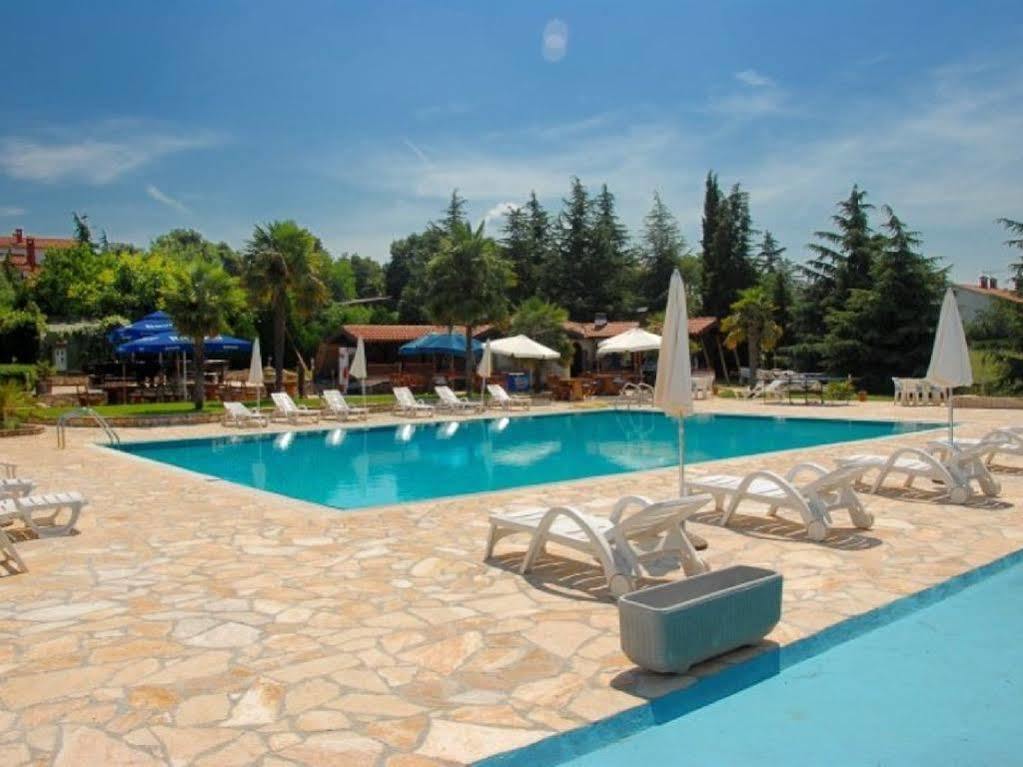 Gloria 3* Kukci